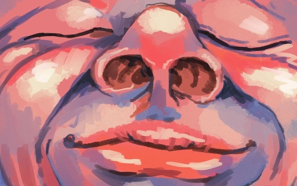 【熟肉】绯红之王指南-a guide to king crimson