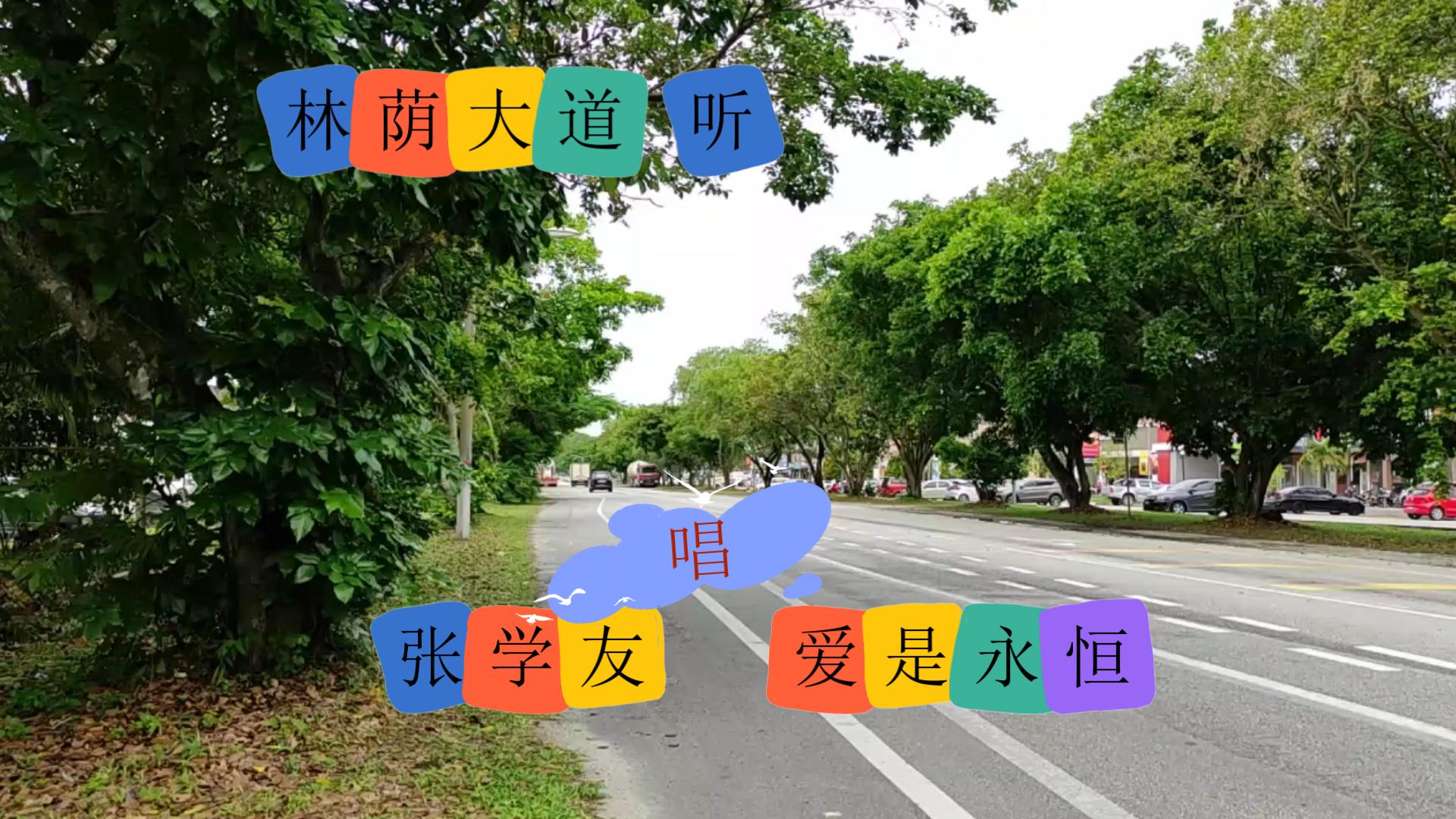 [图]林荫大道 听 张学友 唱 爱是永恒