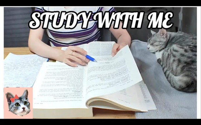 [图]【搬运】Study with me｜16h陪伴学习｜直播实时记录｜辩理师｜公务员｜公试生｜国家职｜地方职｜专门职｜聘用｜资格证｜高考｜Chungha