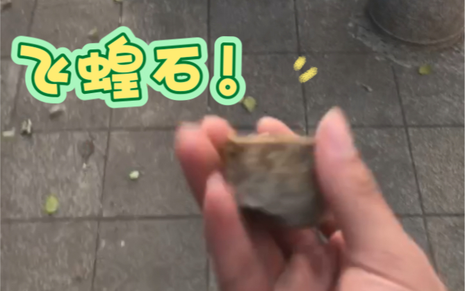 暗之鼻祖, 器之飞蝗一一飞蝗石!哔哩哔哩bilibili