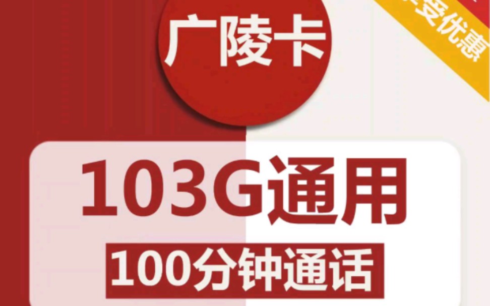 广东联通长期套餐29包103G流量+100分钟通话(可选靓号)哔哩哔哩bilibili