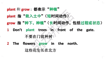 plant和grow辨析哔哩哔哩bilibili