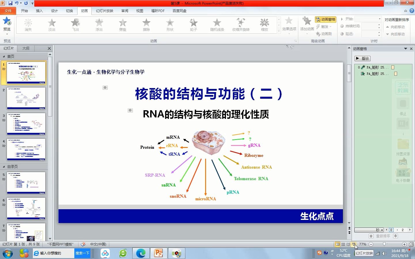 5 RNA的结构与核酸的理化性质哔哩哔哩bilibili