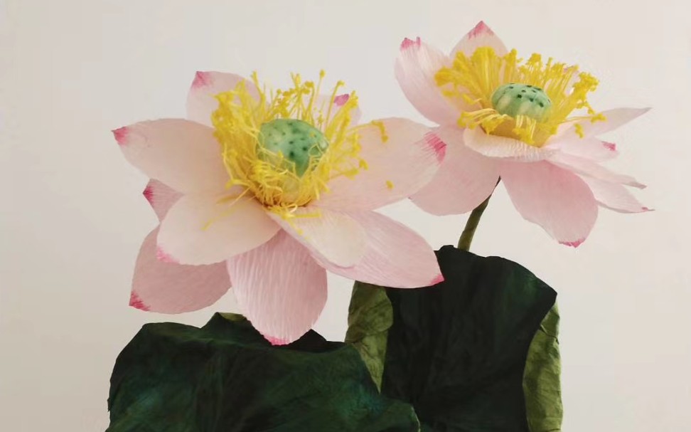皱纹纸荷花纸艺荷花分享展示_哔哩哔哩 (゜-゜)つロ 干杯~-bilibili