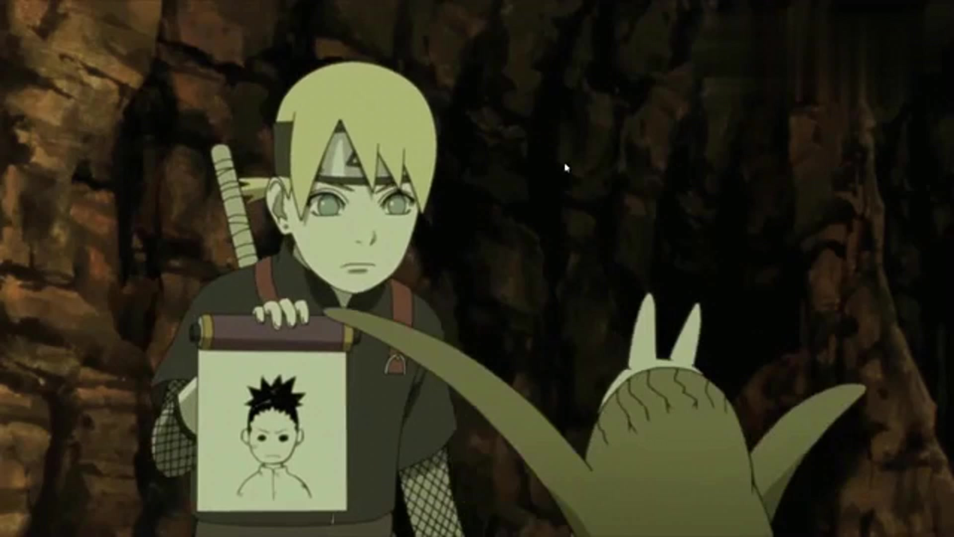 火影忍者:井阵收养的芥应该很高级,把蝶蝶叫做胖子