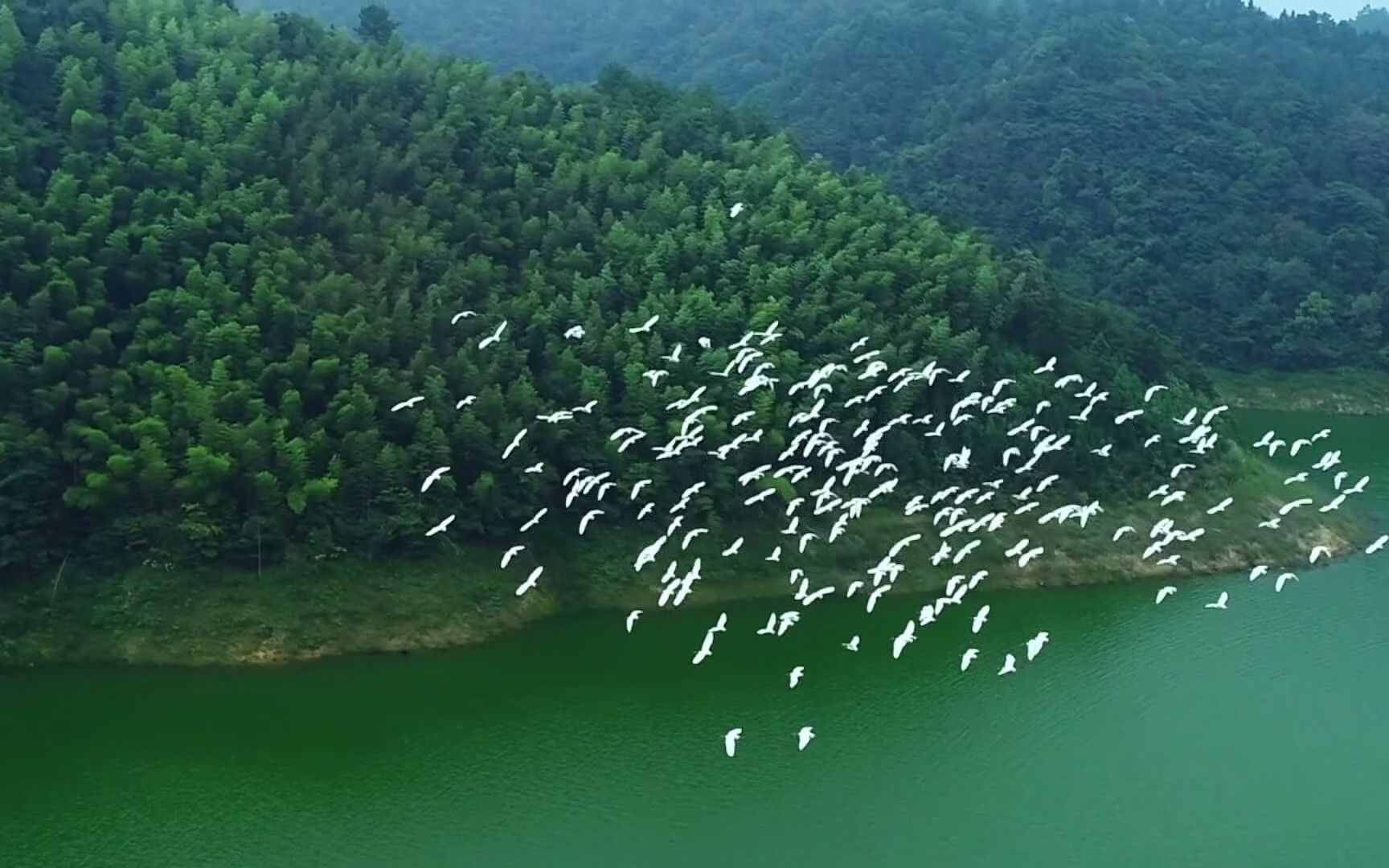 [图]世界湿地日：珍爱湿地 人与自然和谐共生