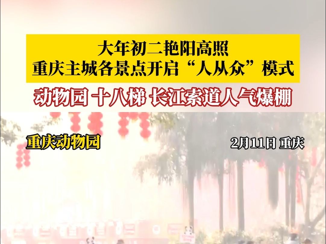 大年初二艳阳高照,重庆主城各景点开启“人从众”模式!哔哩哔哩bilibili