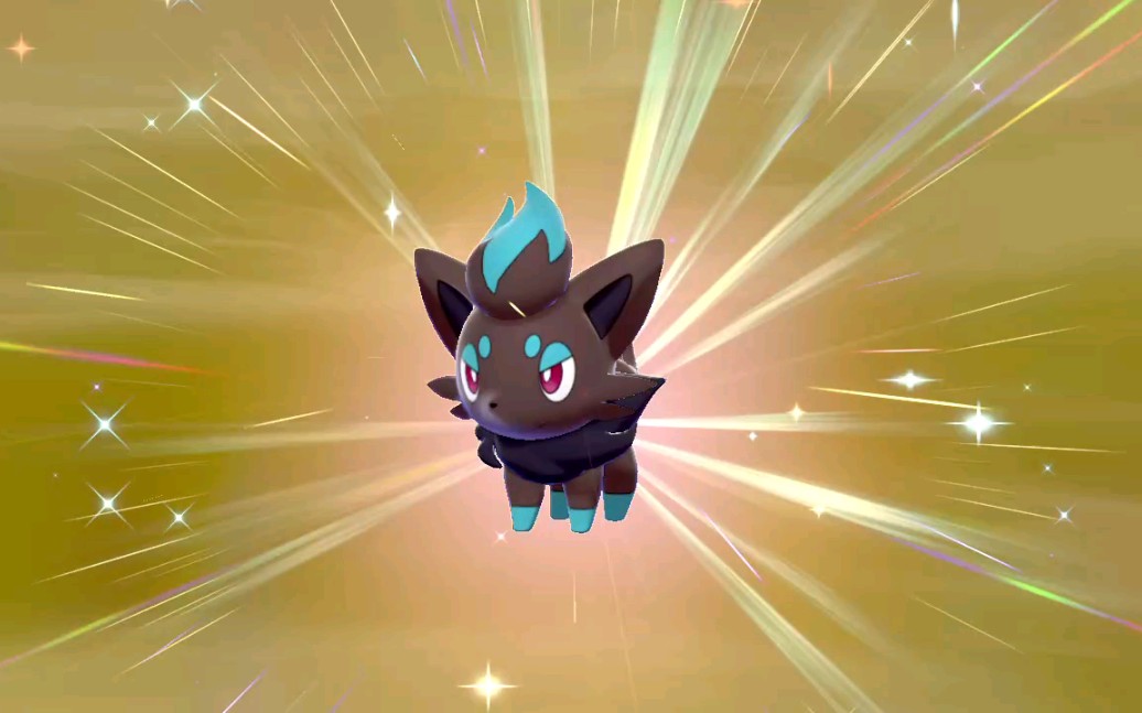 【宝可梦剑盾】(闪光)妖狐索罗亚爱了爱了