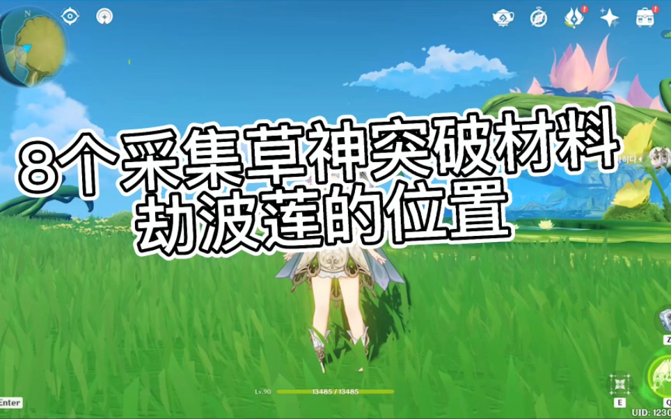 8个草神突破材料位置,让你在最短时间获得最多材料哔哩哔哩bilibili原神