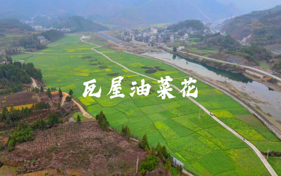 贵州省铜仁市瓦屋油菜花