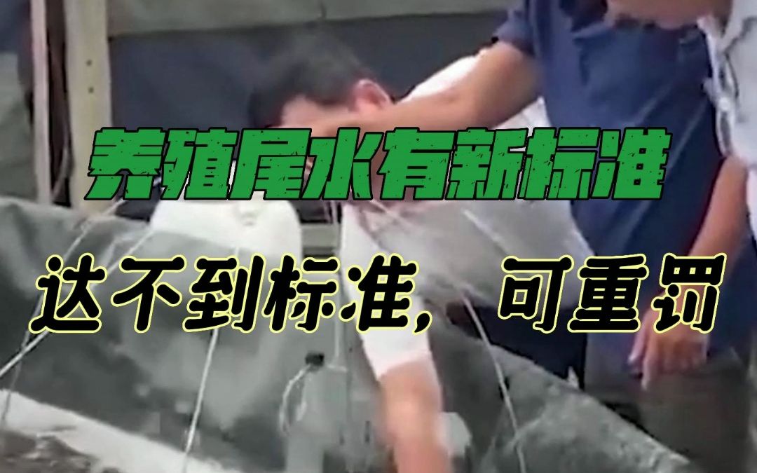 重磅!江苏执行养殖尾水新标准,达不到标准,可能被重罚!哔哩哔哩bilibili