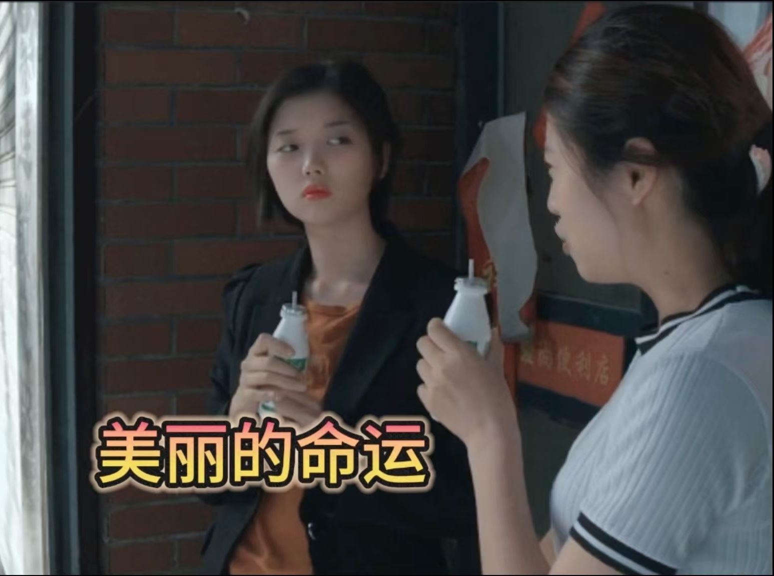 美丽是一个命运多舛的女孩,美丽步入社会后,姐姐经常向她索要抚养费.