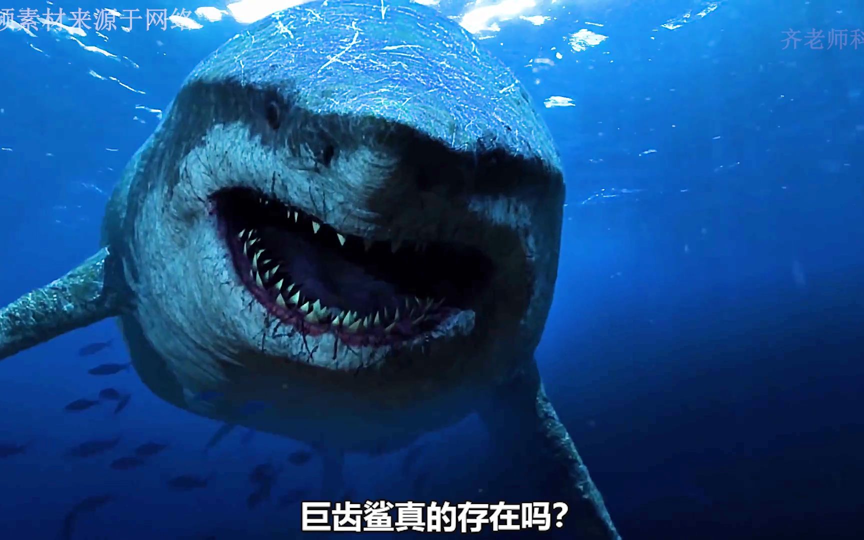 巨齿鲨真的存在吗? 它又会在哪里?
