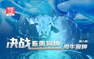 下载视频: 聚焦三农丨决战畜禽育种——肉牛育种