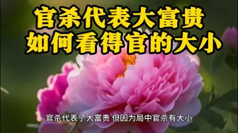 Скачать видео: 官杀代表大富贵， 如何看得官的大小#易学智慧#国学文化#易经文化#国学智慧