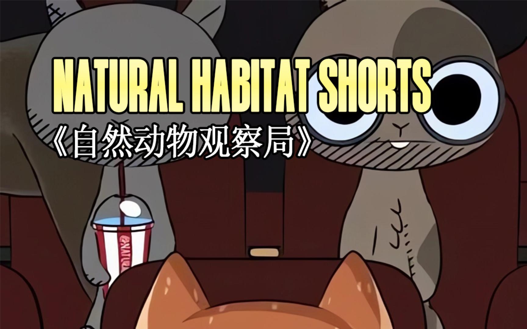 220104《自然动物观察局》 Natural Habitat Shorts哔哩哔哩bilibili