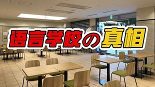 Jcli日本语学校客观测评 支持升学退学费学习氛围好 语言学校的真相 哔哩哔哩 つロ干杯 Bilibili