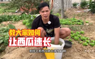 下载视频: 西瓜种一个星期后，小何教大家一招让西瓜快速成长，我们一起看效果