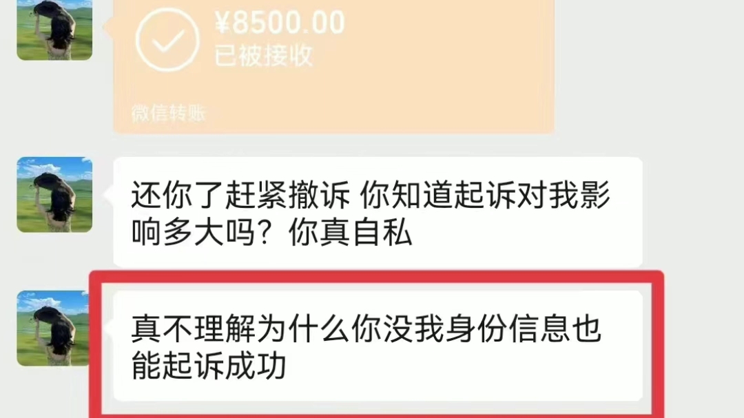 欠钱不还,只有姓名电话一样起诉要回钱!哔哩哔哩bilibili