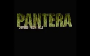 Download Video: 【Pantera】2001.05.09-Live In Auckland, NZ