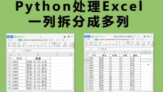 Python处理Excel一列变多列