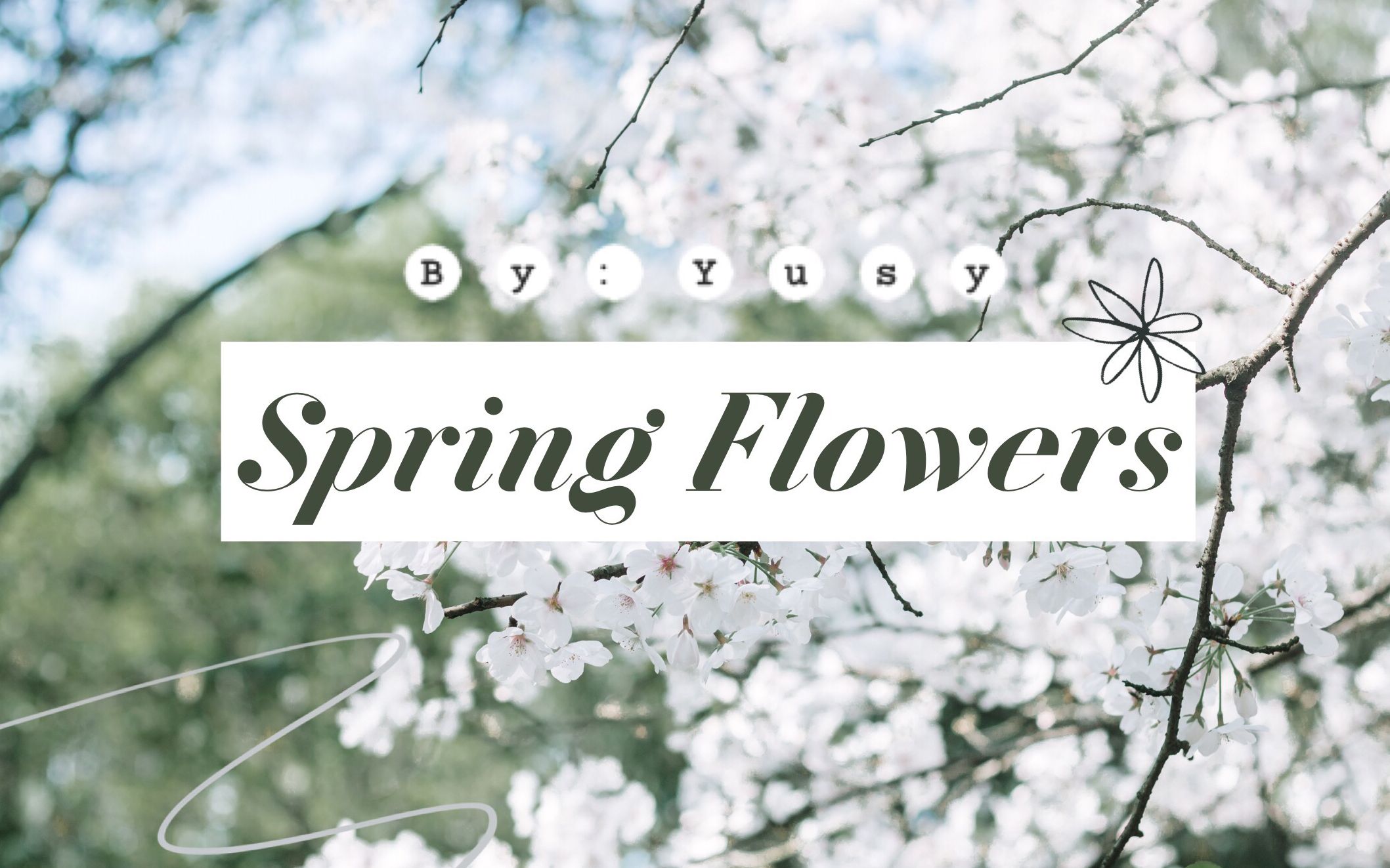 春日樱花抄 | SPRING FLOWER 春天 ⷠ樱花哔哩哔哩bilibili