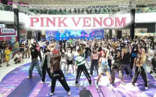 【BLACKPINK】期待值拉满！！等不及回归了！Pink Venom 随机舞蹈|随唱谁跳广州站第二十六次KPOP随机舞蹈