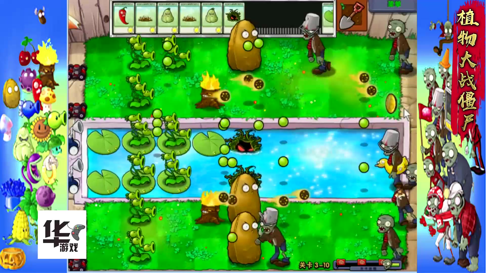 植物大战僵尸(3-10)三头豌豆射手真的很强 但是必须有火炬树桩