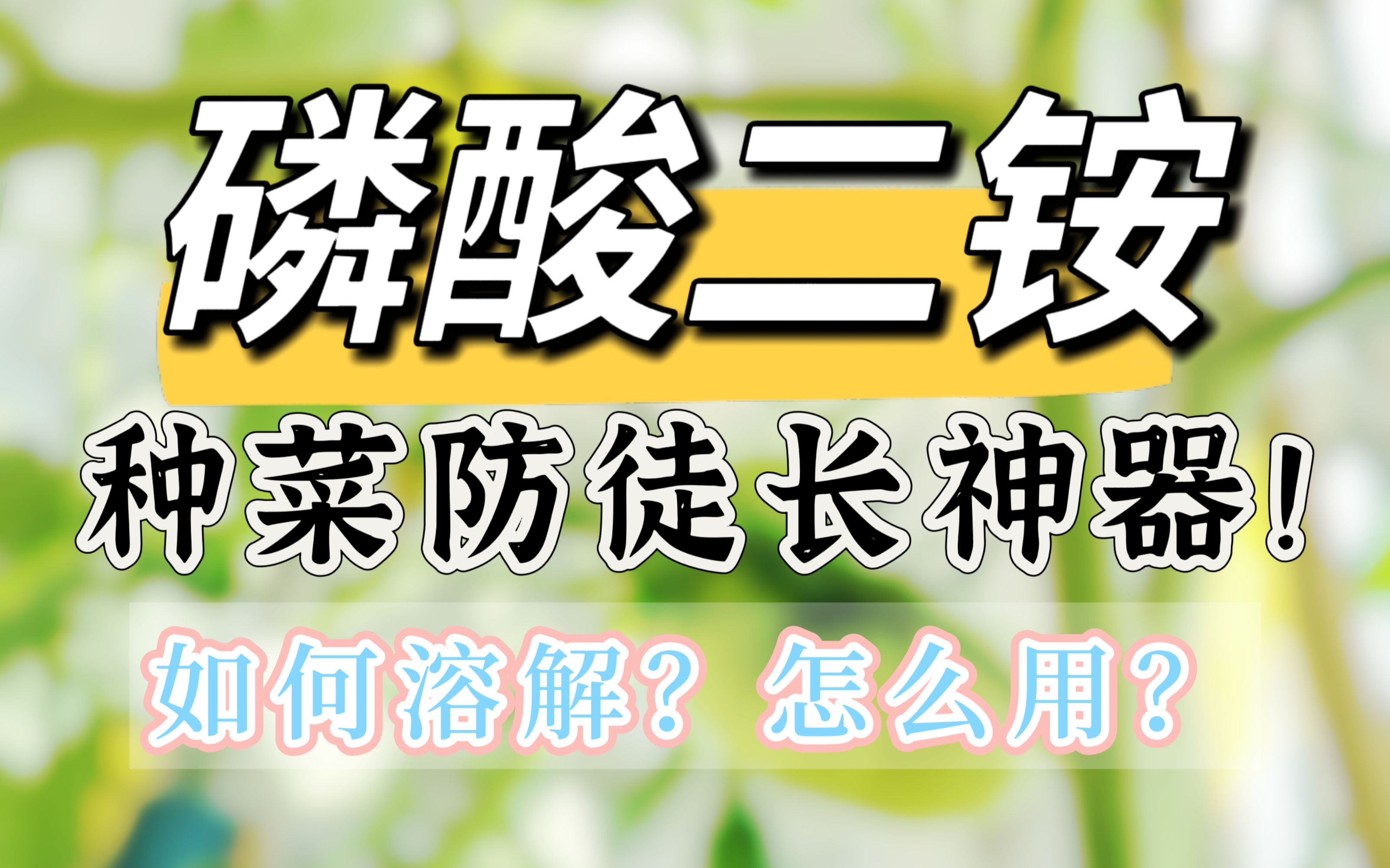 种菜防徒长神器:磷酸二铵!必看!哔哩哔哩bilibili