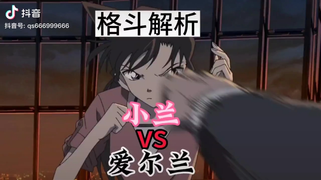 名侦探柯南小兰 VS 爱尔兰,名侦探柯南超燃格斗解析#毛利兰#武术#功夫#格斗哔哩哔哩bilibili