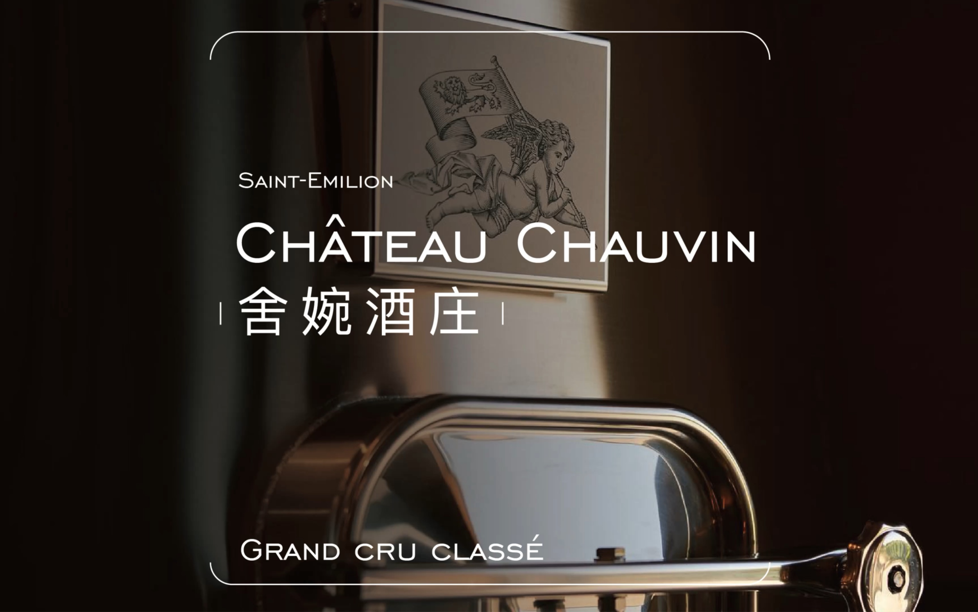 毛毛讲酒|波尔多右岸酒庄|Chateau Chauvin哔哩哔哩bilibili