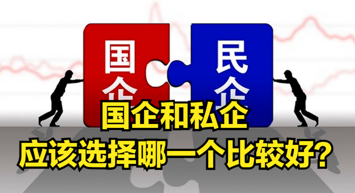 国企和私企,应该选择哪一个比较好,哪个更有发展空间呢?哔哩哔哩bilibili