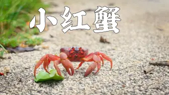 生完孩子饿了怎么办，那就吃了它