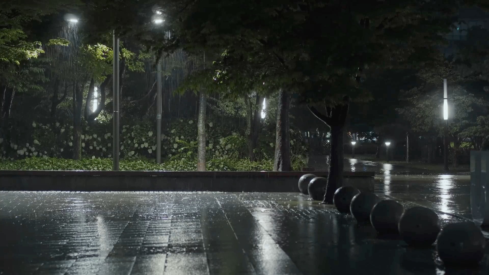 在夜晚,当公园中降下倾盆大雨,伴随着雷鸣电闪,绝大多数人往往会很快