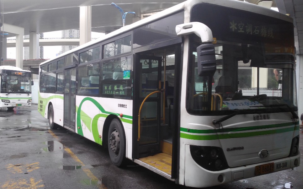 活动  【最后的泡菜侧跪纪念三】上海公交石梅线w2b石化汽车站方向