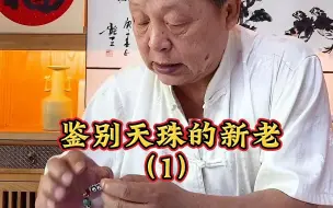 Télécharger la video: 鉴别天珠的新老（1）