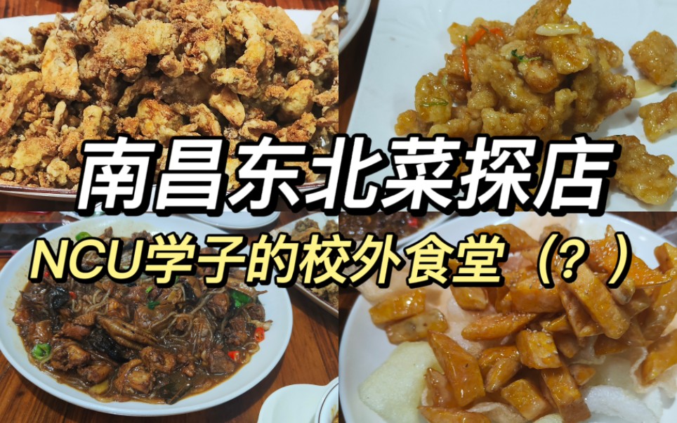 南昌东北餐馆探店|距离南昌大学很近的口碑美食哔哩哔哩bilibili