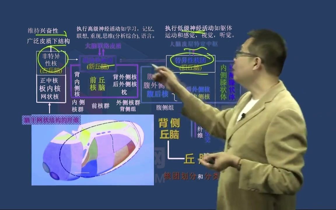 [图]神经外科学主治医师考试精品体验课|山河医学网