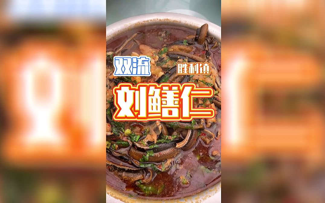 双流美食 | 这些农家乐味道稳定,食材新鲜,没得说~哔哩哔哩bilibili