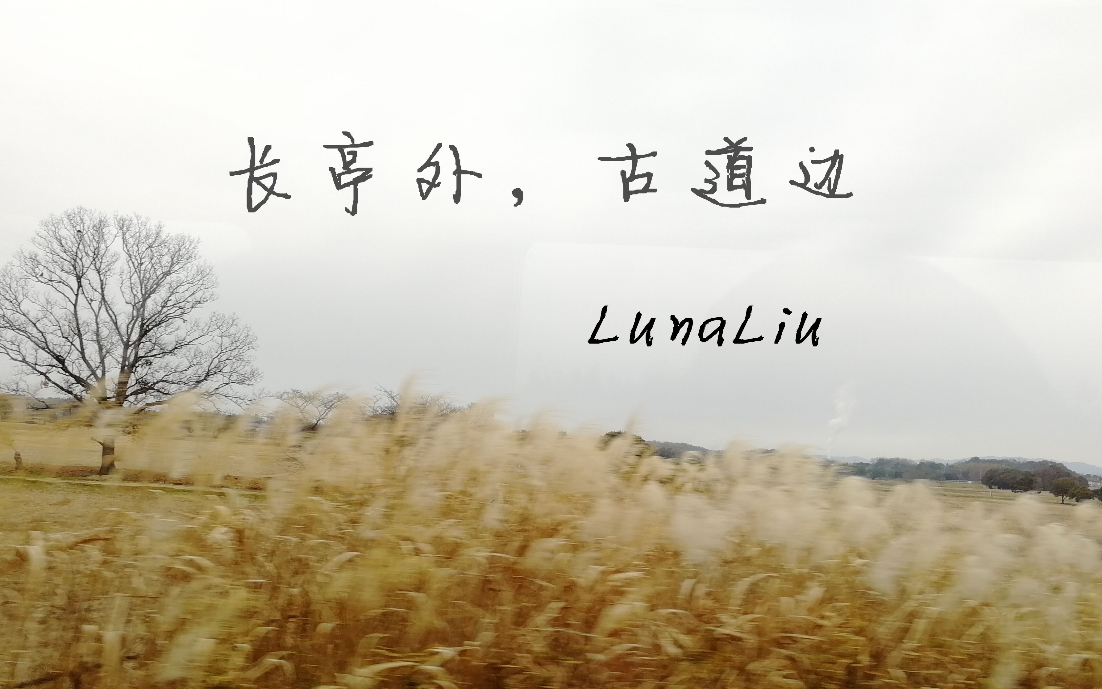 [图]【LunaLiu】长亭外，古道边