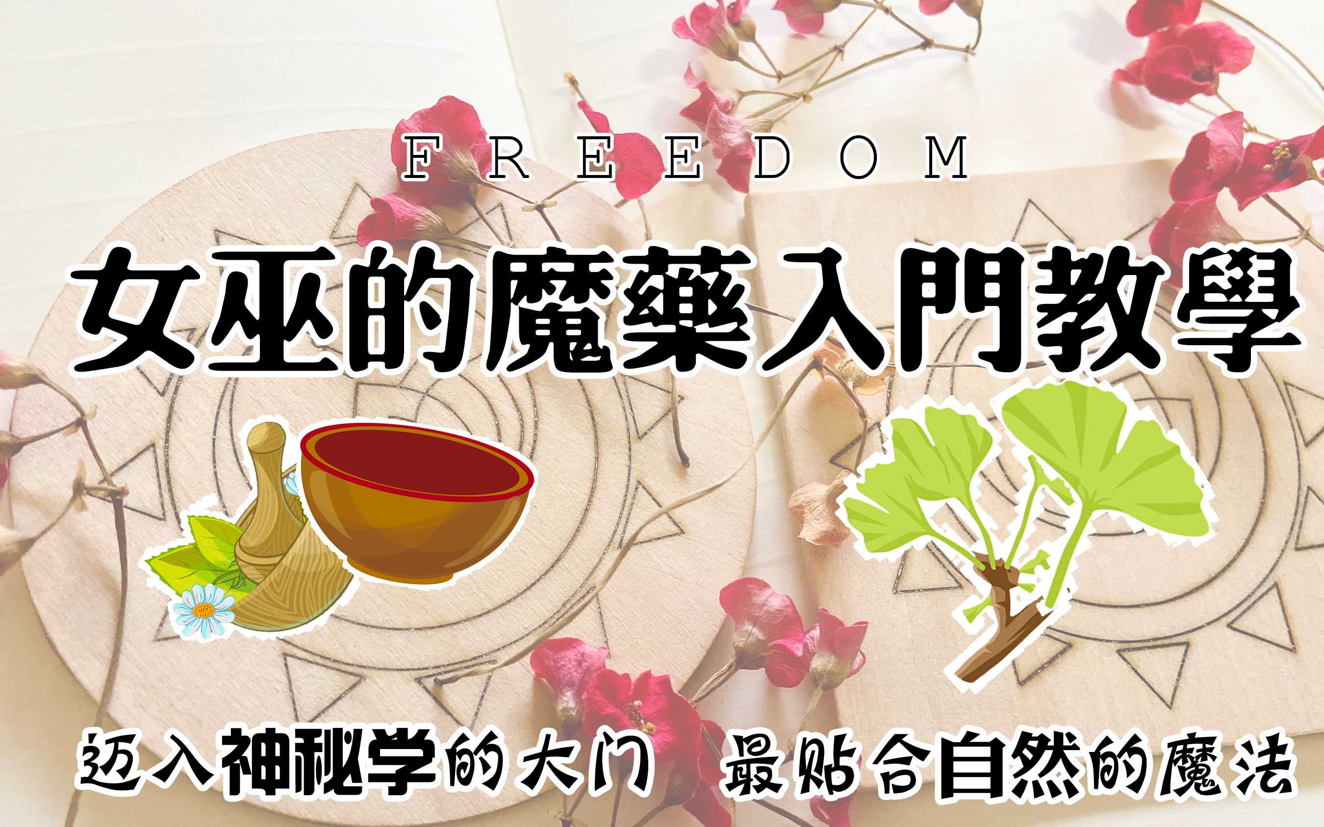 【freedom魔法草药】魔药学基础入门向理论教学,满满干货,不看错过一