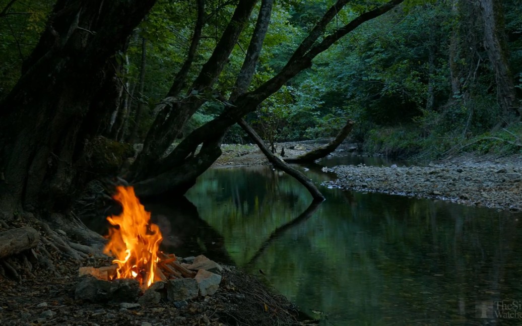 【thesilentwatcher助眠】森林中的火焰与流水声
