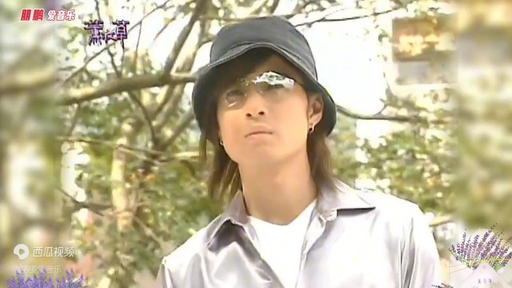 是否还记得许绍洋这首薰衣草主题曲《花香》音乐响起满满的回忆!