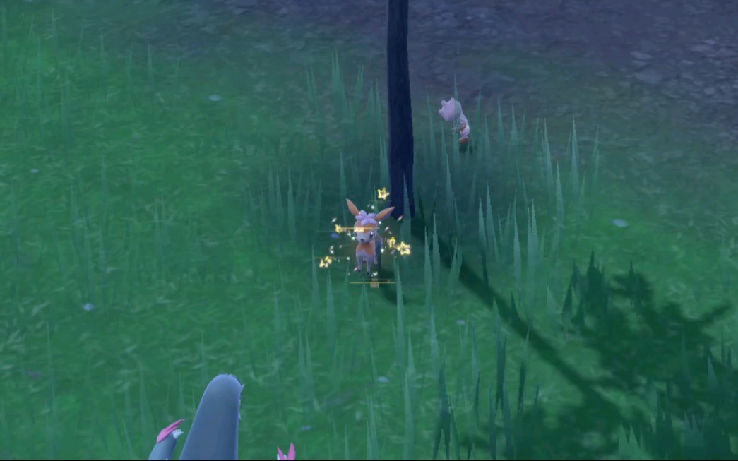 朱紫四季鹿闪光