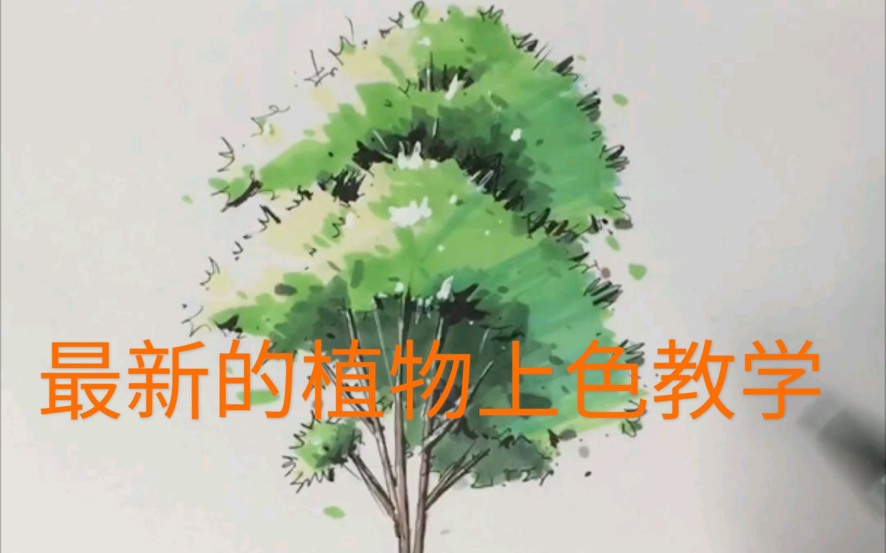 [马克笔手绘] 植物上色教程哔哩哔哩bilibili