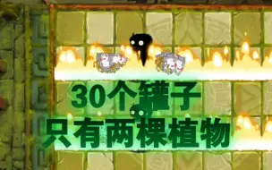 Download Video: 【创意庭院|自制关卡】解压！两棵植物防御28只铁桶僵尸《植物大战僵尸2》