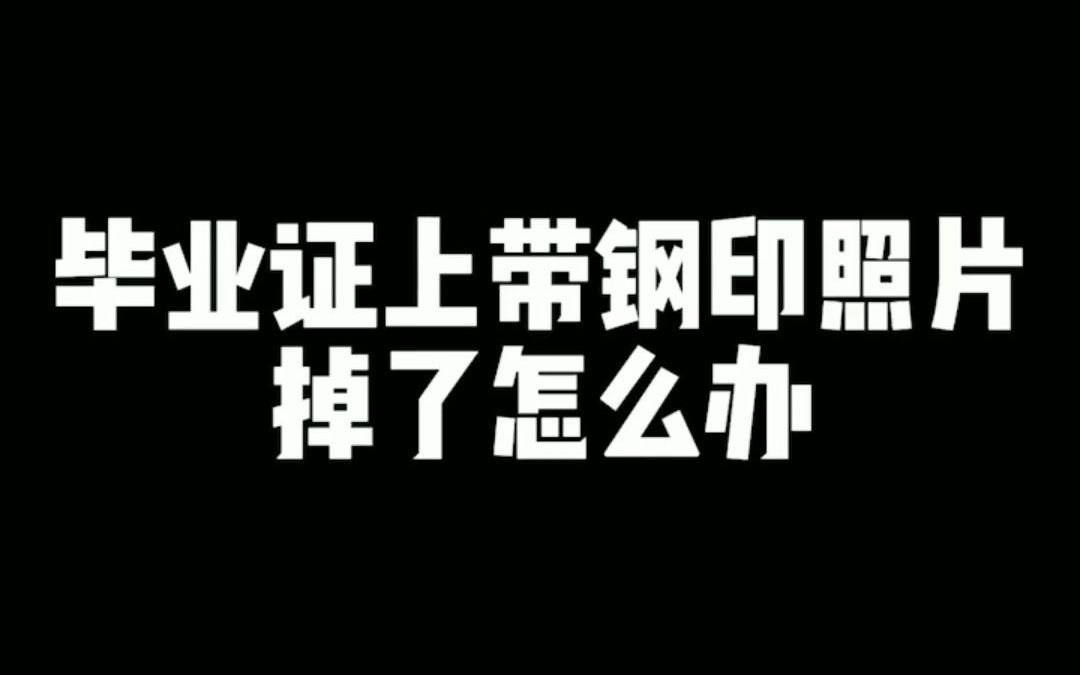 毕业证上带钢印照片掉了怎么办?哔哩哔哩bilibili