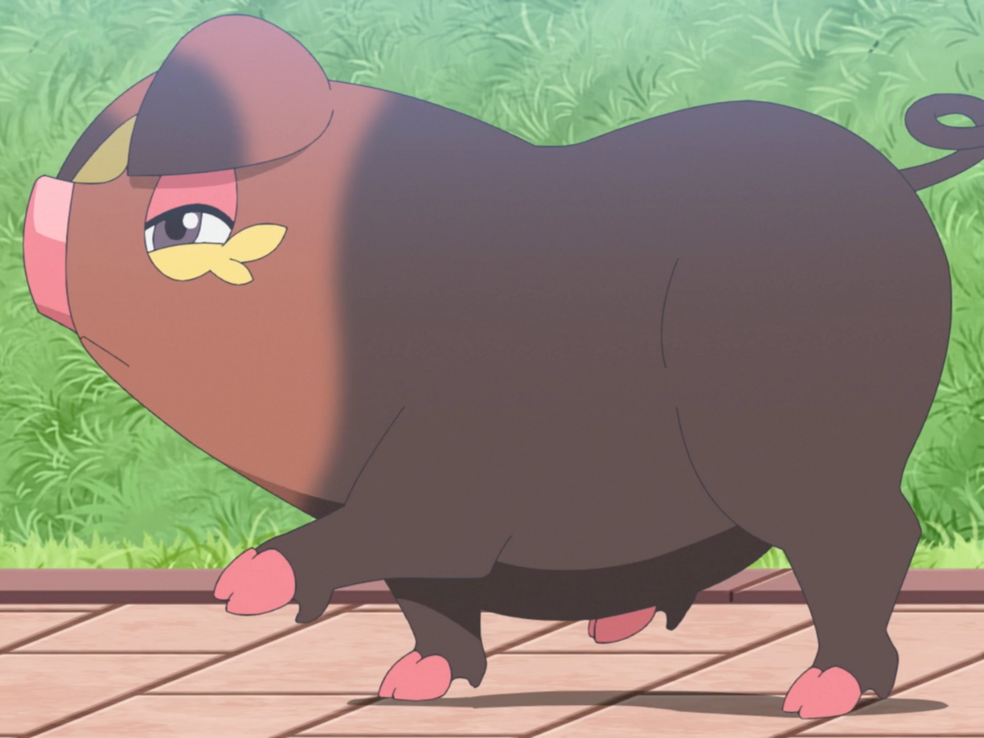 【pokémonshowdown】雌性飘香豚一穿四