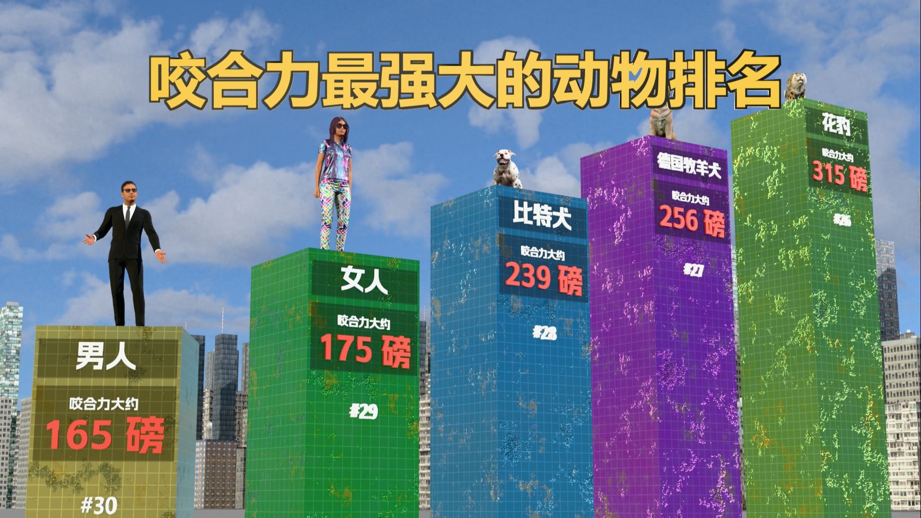 咬合力最强大的动物排名