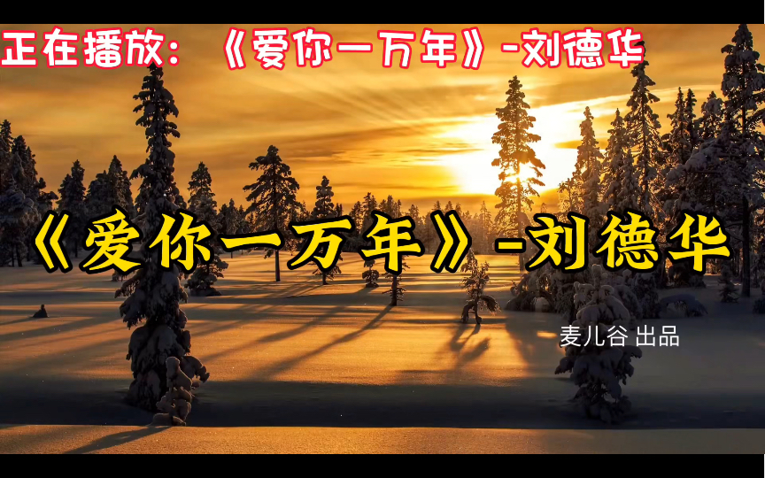 《爱你一万年》刘德华,超好听90后华语经典歌曲合集,音乐推荐哔哩哔哩bilibili